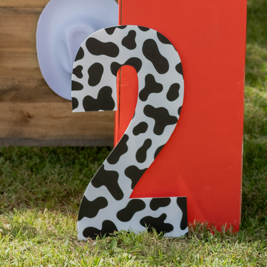 RaeLynn 24" Cowhide Acrylic Numbers (0-9)