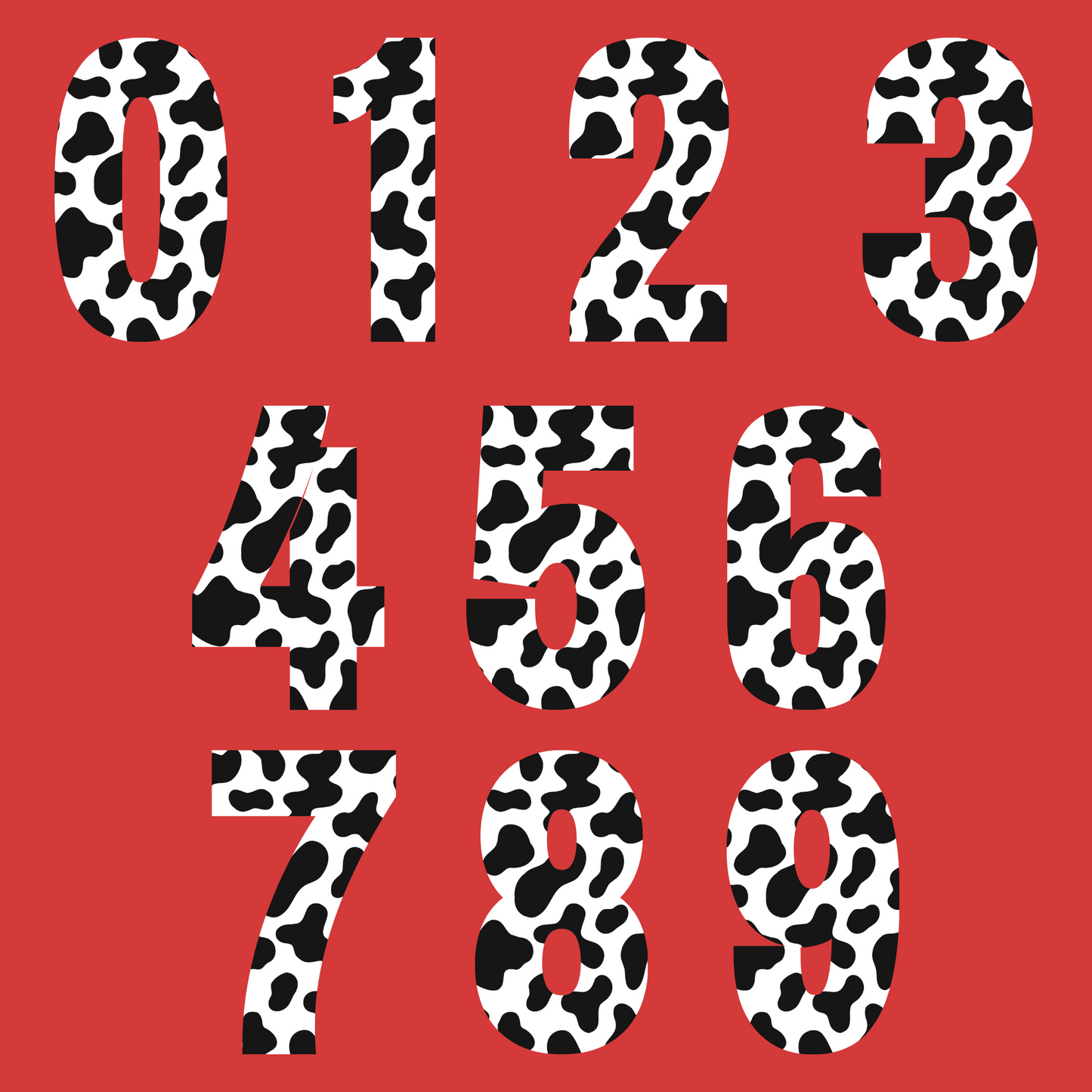 RaeLynn 24" Cowhide Acrylic Numbers (0-9)